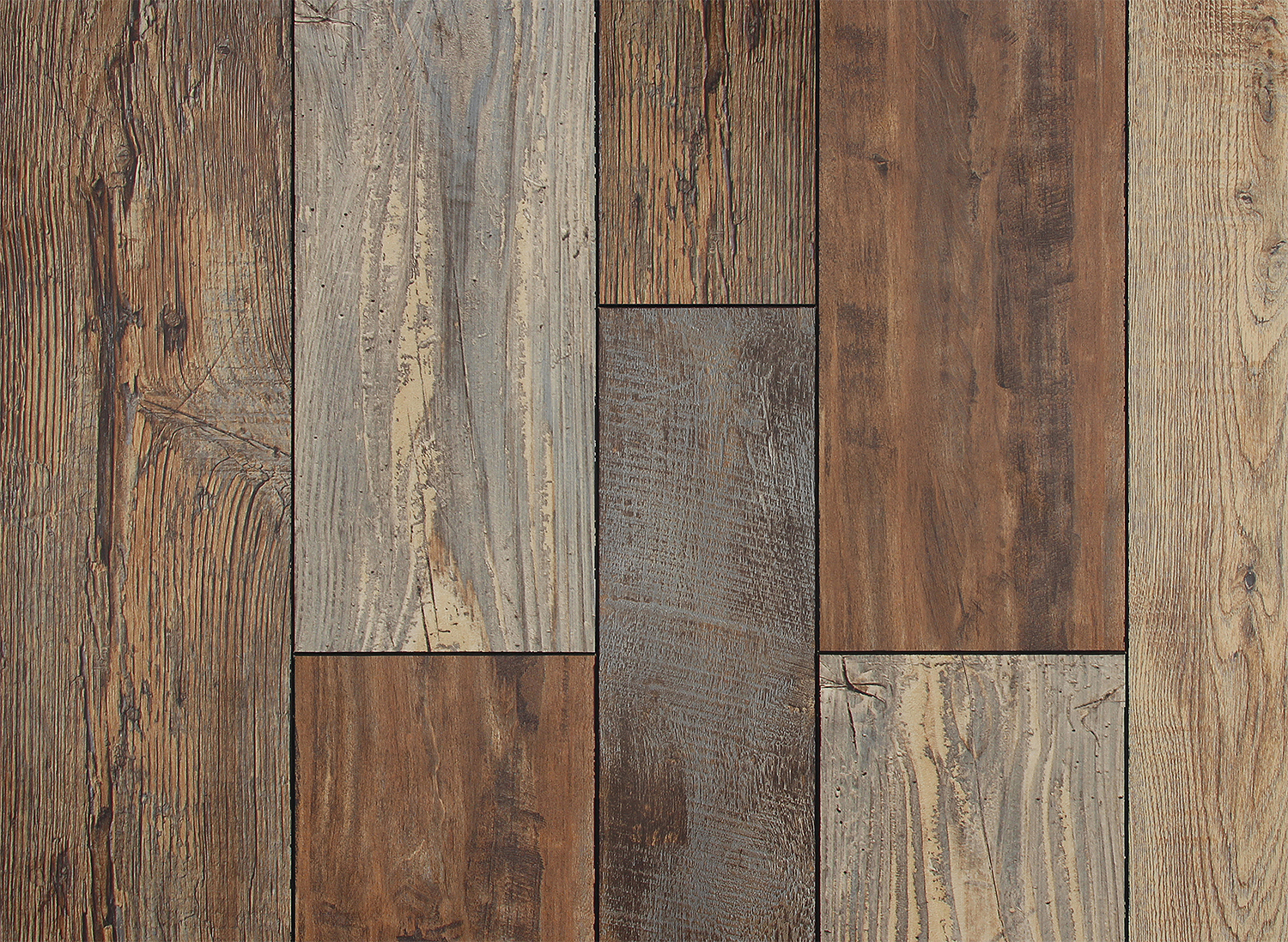 cacao ラフフェス cacao ラフフェス cacao ラフフェス 真夏のラフフェスin森ノ宮2025